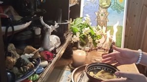 ЧИСТКА ОТ ОПОЕВ И ОКОРМОВ.