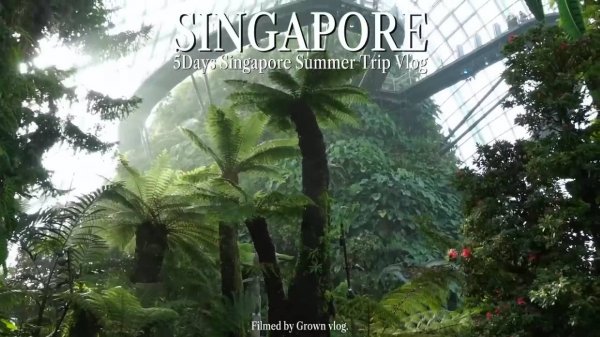 Grown vlog. Поездка в Сингапур в 2025 году: лучшие развлечения и рестораны в Сингапуре