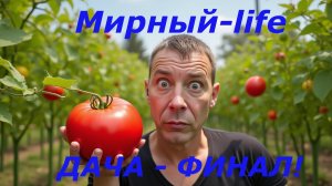 Моя дачная эпопея: месяц труда и вот итог