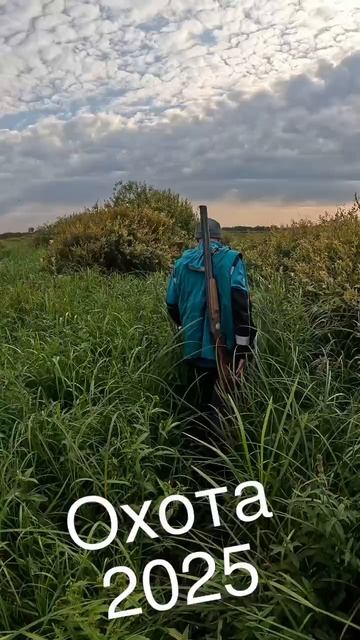 Охота 2025