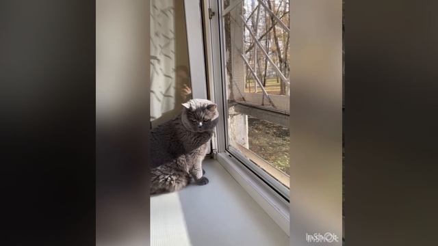 Сам себе режиссер смотреть онлайн