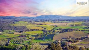 The Baroque Beauty of Vivaldi – Concertos for Mandolin, Lute & Strings