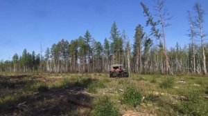 Проверка зимовий от нашествий медведя. Продолжаем испытывать болотоход.