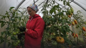 6 соток 21 августа 2025 года. 1 часть