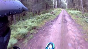 Лесные покатушки на эндуро 26 августа 2025г.