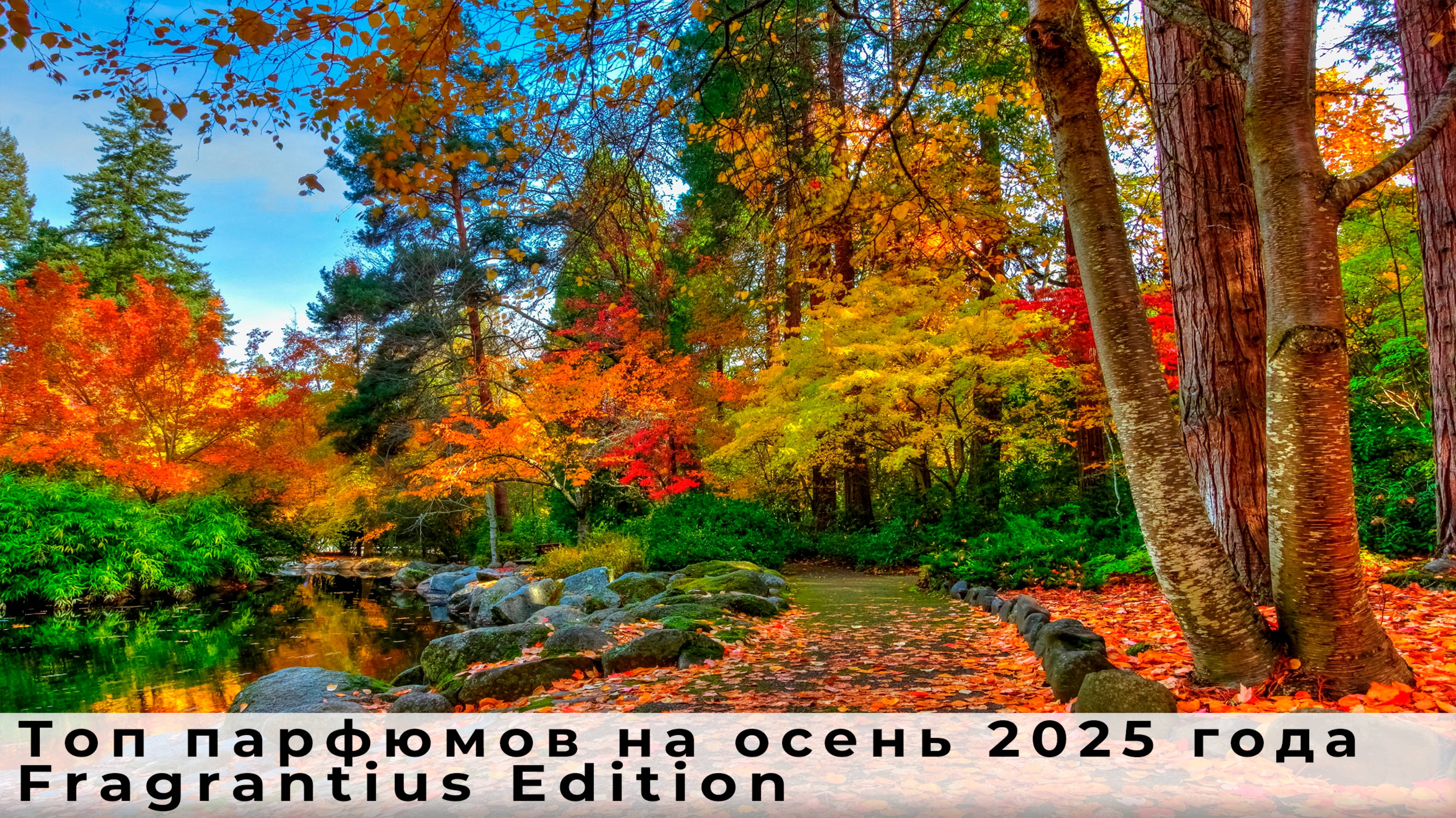 Топ парфюмов на осень 2025 года, Fragrantius Edition смотреть онлайн