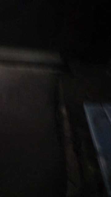 последние минуты Вилли