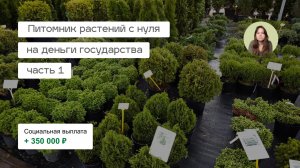 Питомник растений с нуля | соцконтракт | что успела сделать в 2024 году