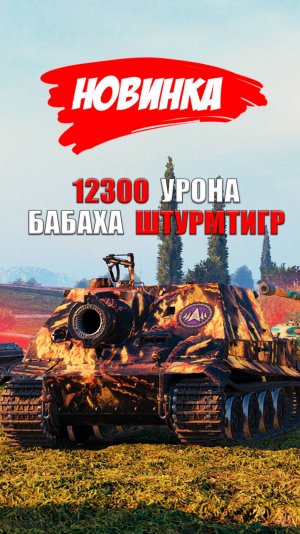 Что ты Такое? Новый тип Бабах в Мире Танков! Штурмтигр и Мировой Рекорд в 12т урона! #миртанков #wot