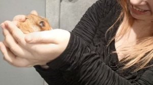 Всё в кучу. У Любы новый питомец