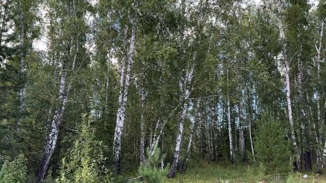 Земельный участок ИЖС