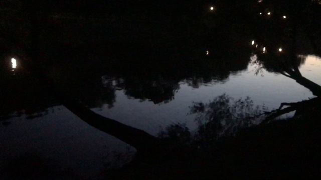 Парк в августе