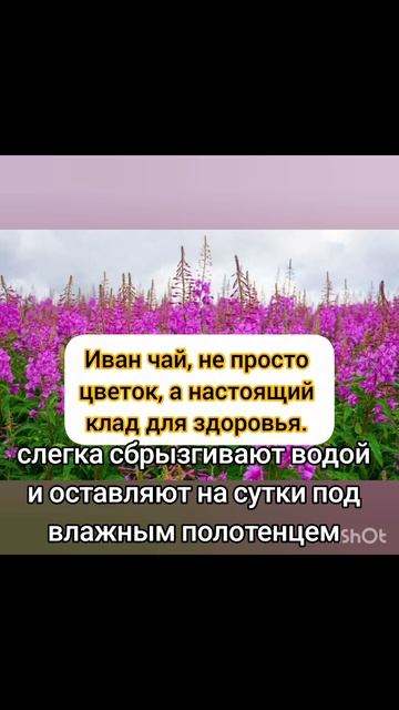 Народные рецепты.