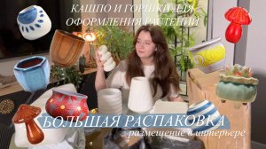 Необычные кашпо и горшки с AliExpress | распаковка и оформление растений