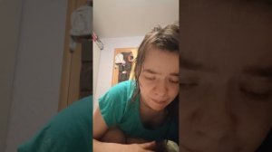 Бременские музыканты.