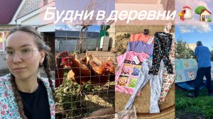 Дела на улице: мою коврик и кормлю кур/Бюджетная одежда с Wildberries для детей/Приятные  хлопоты