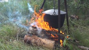 Открытие охоты на утку 2025