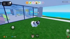 топ 5 забытых мест в игре с котятами в роблокс