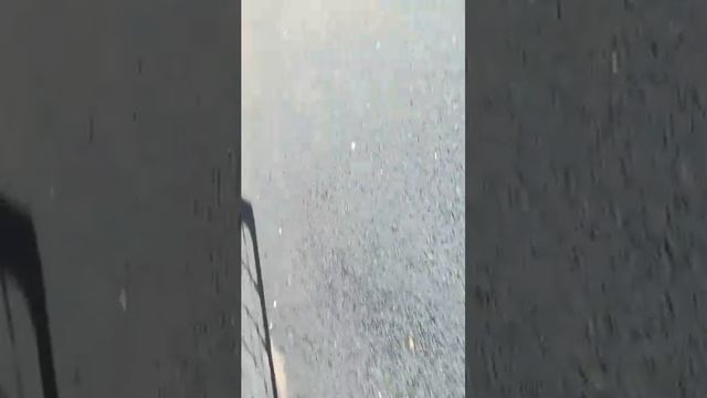 обзор на друзей