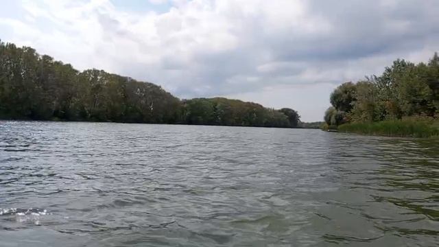 Мои Шедевры-вязание спицы и крючок