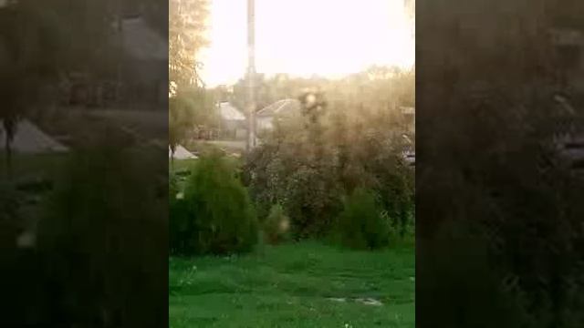 Сегодня травля возобновилась