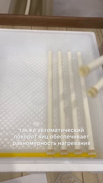 Отзыв на автоматический инкубатор Agri на 120 яиц смотреть онлайн
