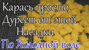 Уловистая Насадка на Карася Просто Быстро Насадка для Карася Насадка для рыбалки