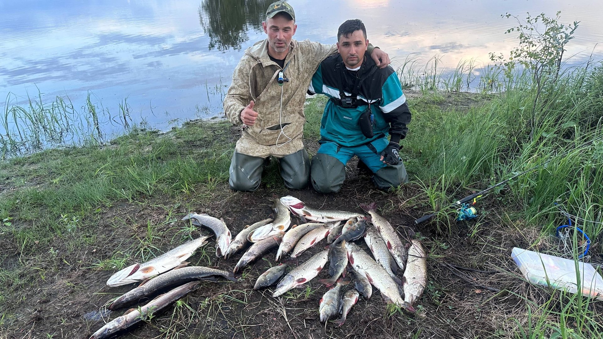 Нашли старую загородку ханта.сколько же здесь щуки.атаки на каждом забросе.рыбалка на спиннинг. смотреть онлайн