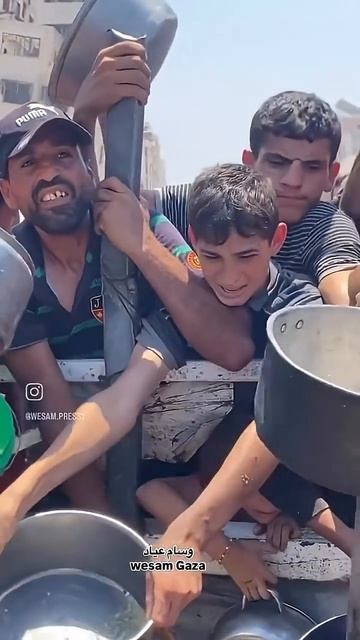 Прости нас Всевышний #Shami#Palestine смотреть онлайн