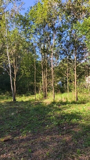 Продаётся земельный участок 15 соток в деревне Божонка, Новгородская область. Обновленное видео.