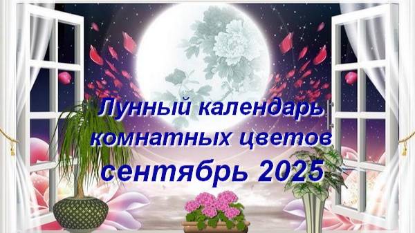 Лунный календарь комнатных растений и цветов на сентябрь 2025 года смотреть онлайн