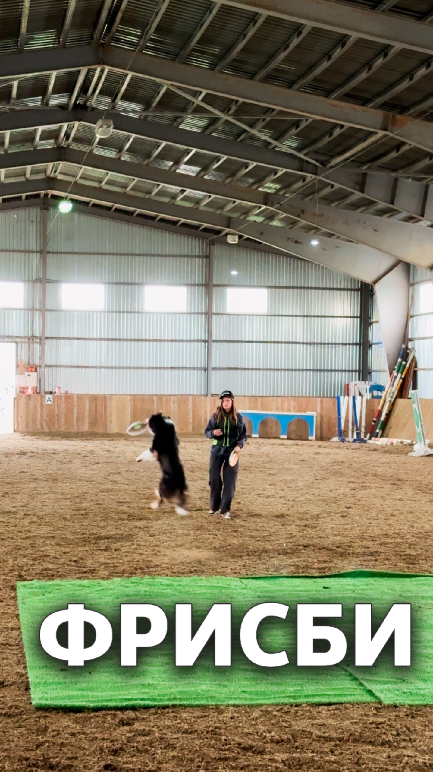 Фрисби #шоусобак смотреть онлайн