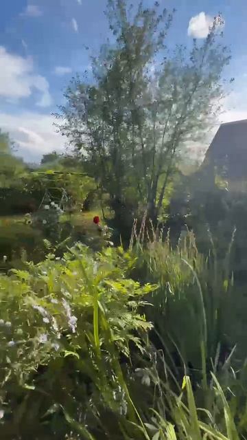 115087 смотреть онлайн