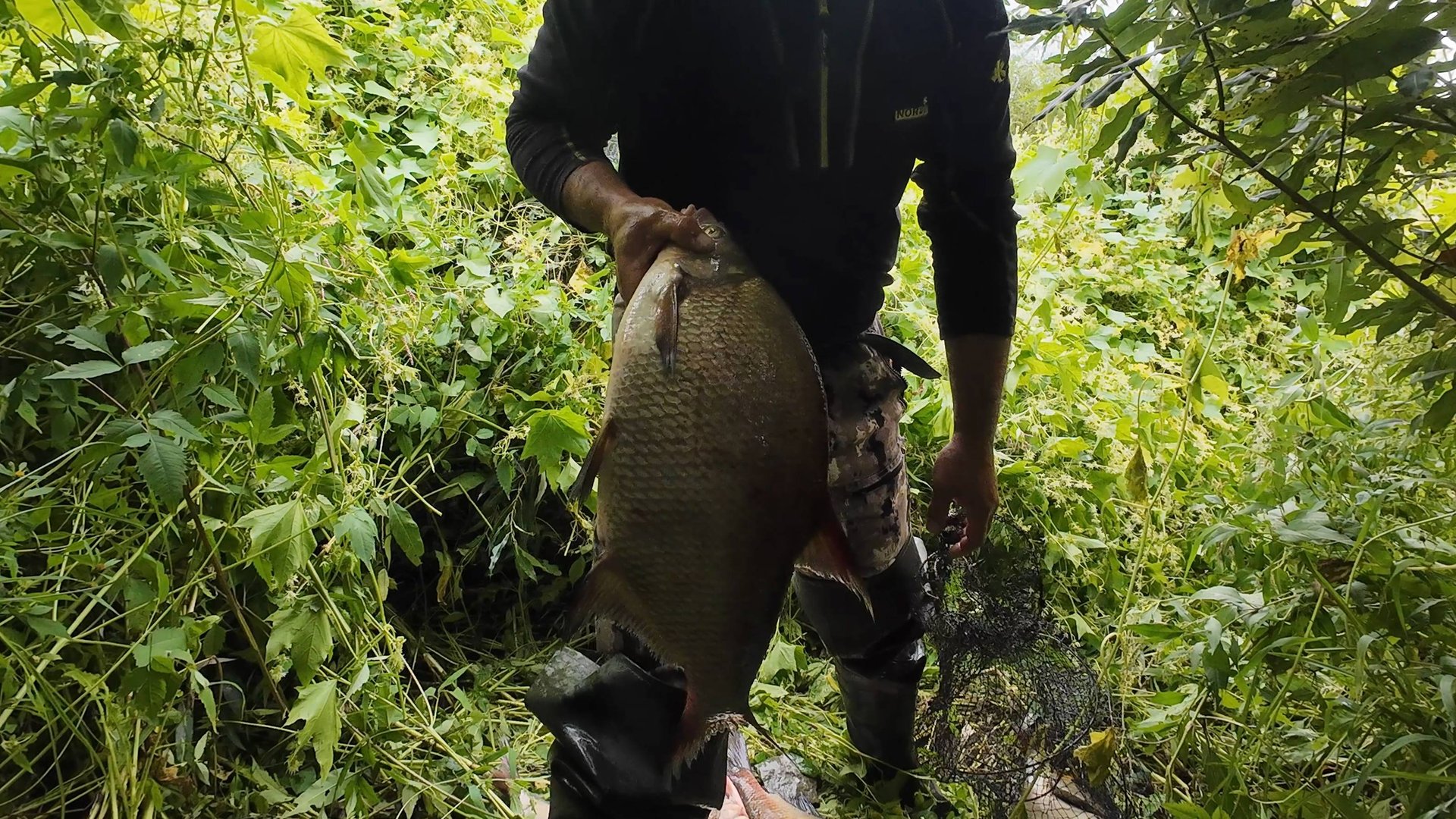 Эта снасть на Леща, снова не подвела. смотреть онлайн