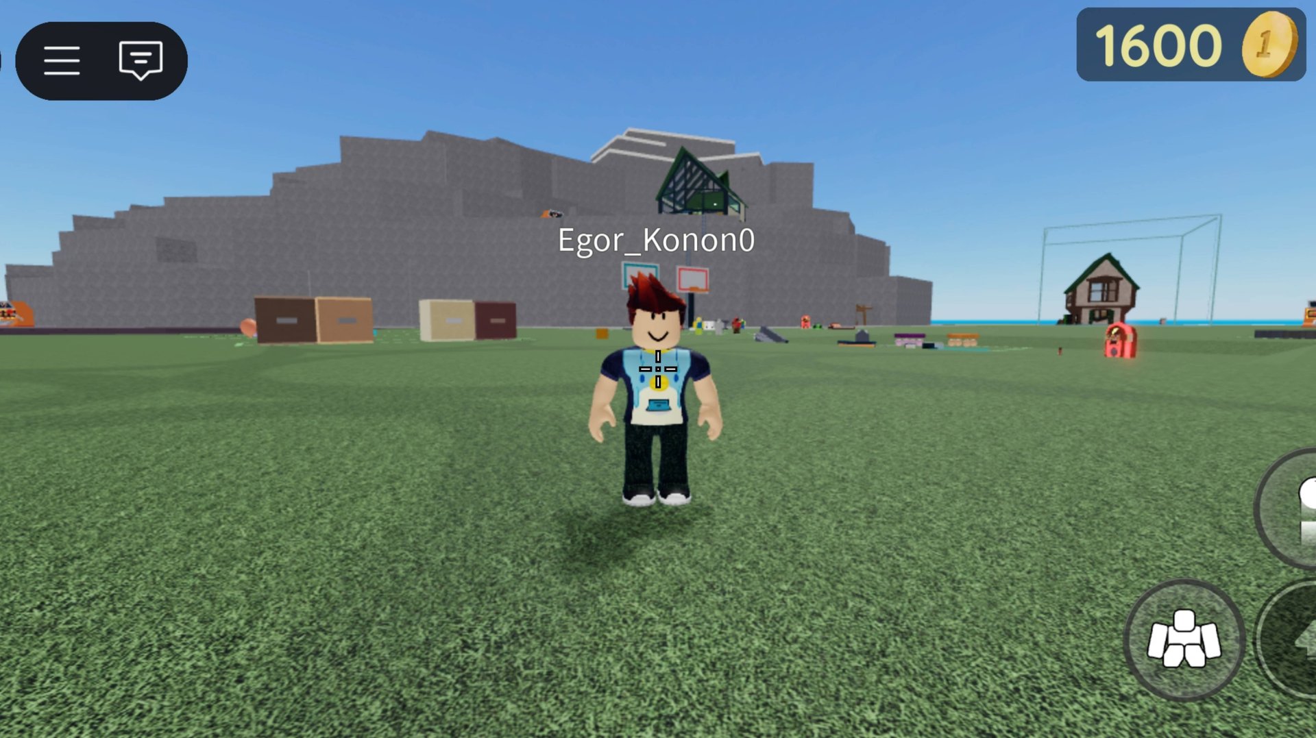 Я играю с братом в кидать вещи и людей