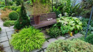 Цветут розы и не только. Зреет виноград и работы в саду. Прогулка по южному саду 24.08.2025 г.