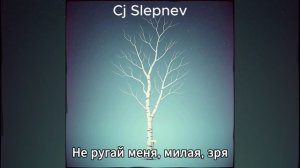 Cj Slepnev - Не ругай меня, милая, зря