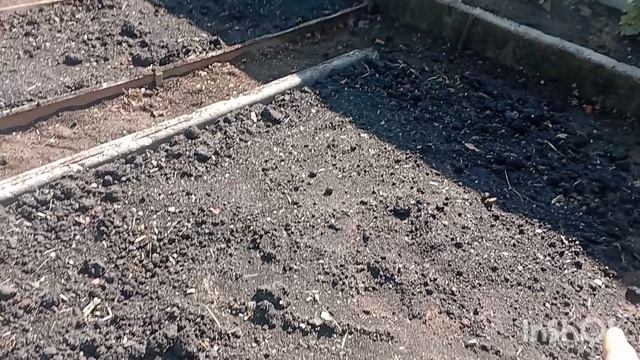 завезли чернозём на дачу...август... смотреть онлайн