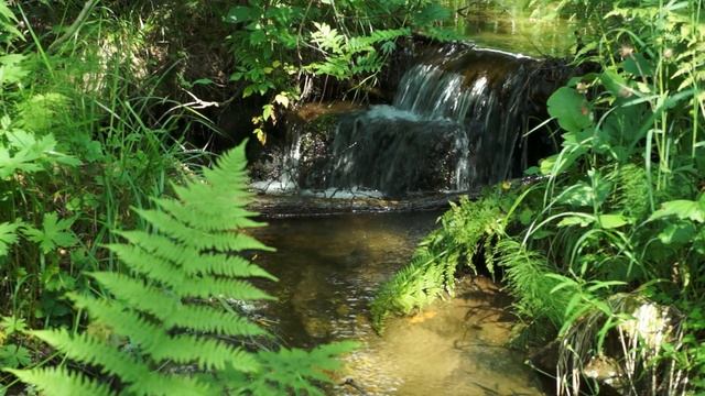 Исцеляющие звуки природы, гармонизация, восстановление равновесия. Таганайский ручей