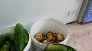 Заготовки💓Подарок 💓Получил значок 💓