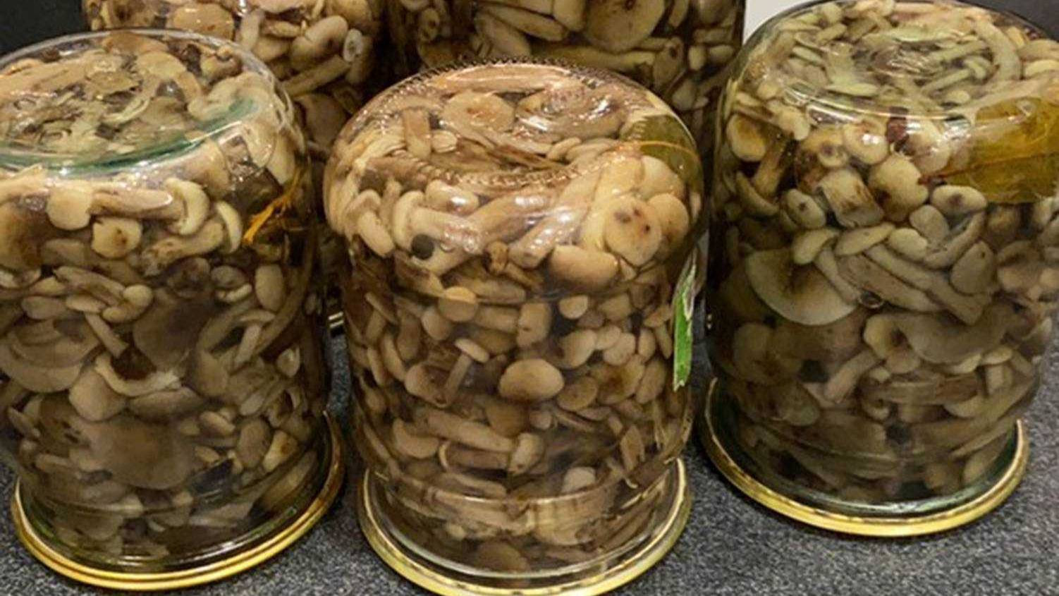 Грибы маринованные на зиму смотреть онлайн