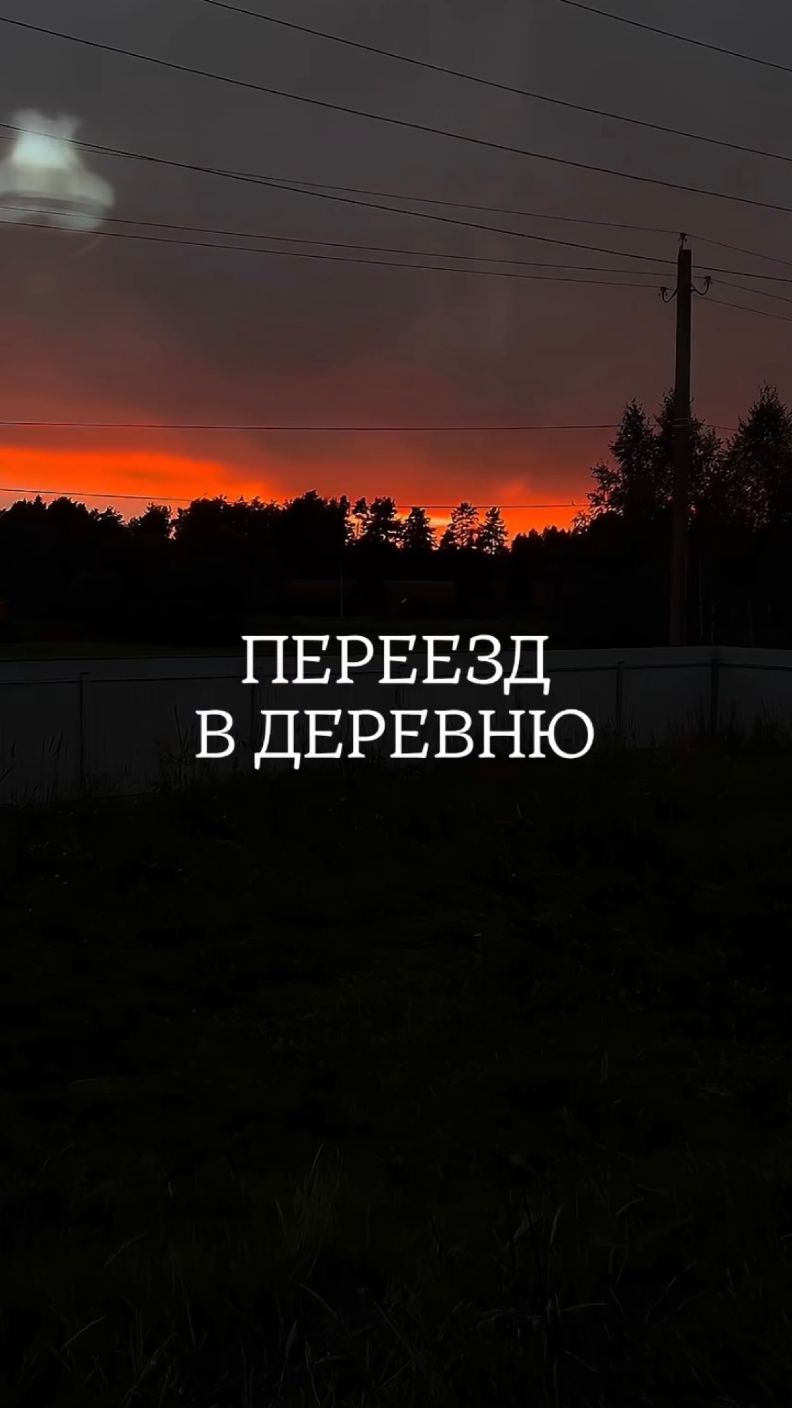 Переезд в деревню 🚚