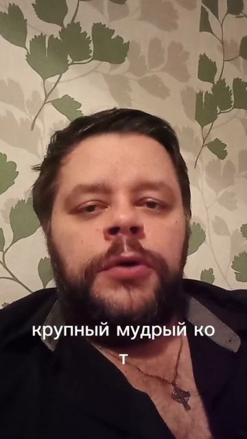 Маркевич о важном: о дружбе с котами