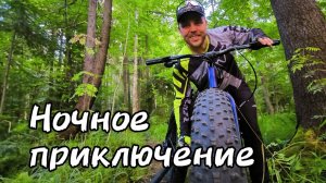 Покатушки в Лесу ночью с фонариком. Быстрая езда между деревьями.
