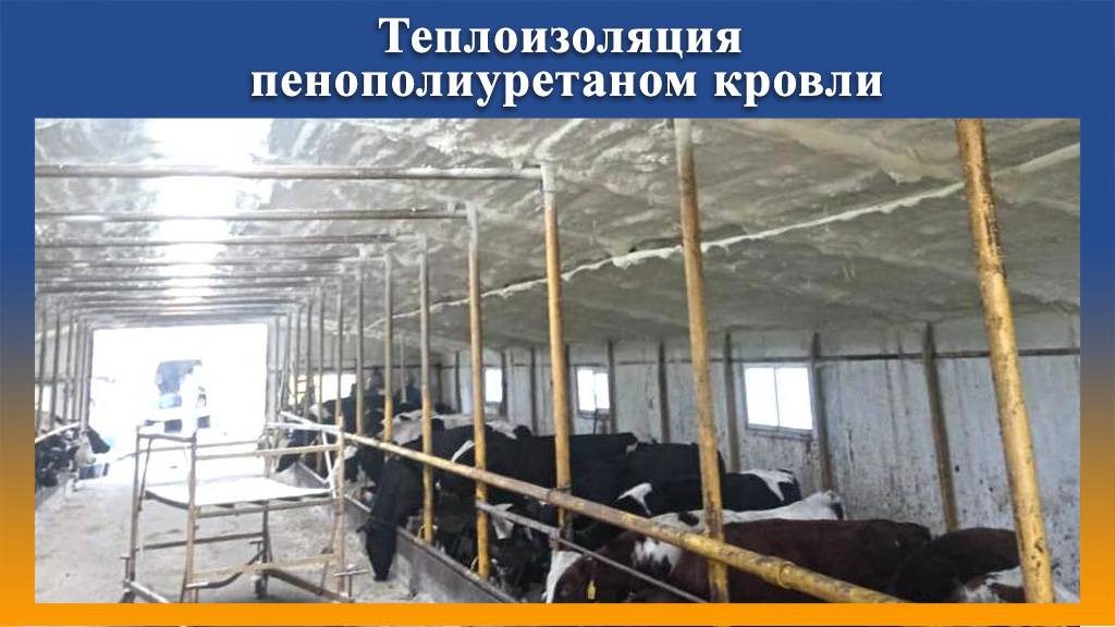 Утепление коровника ППУ на Промус оборудовании. смотреть онлайн