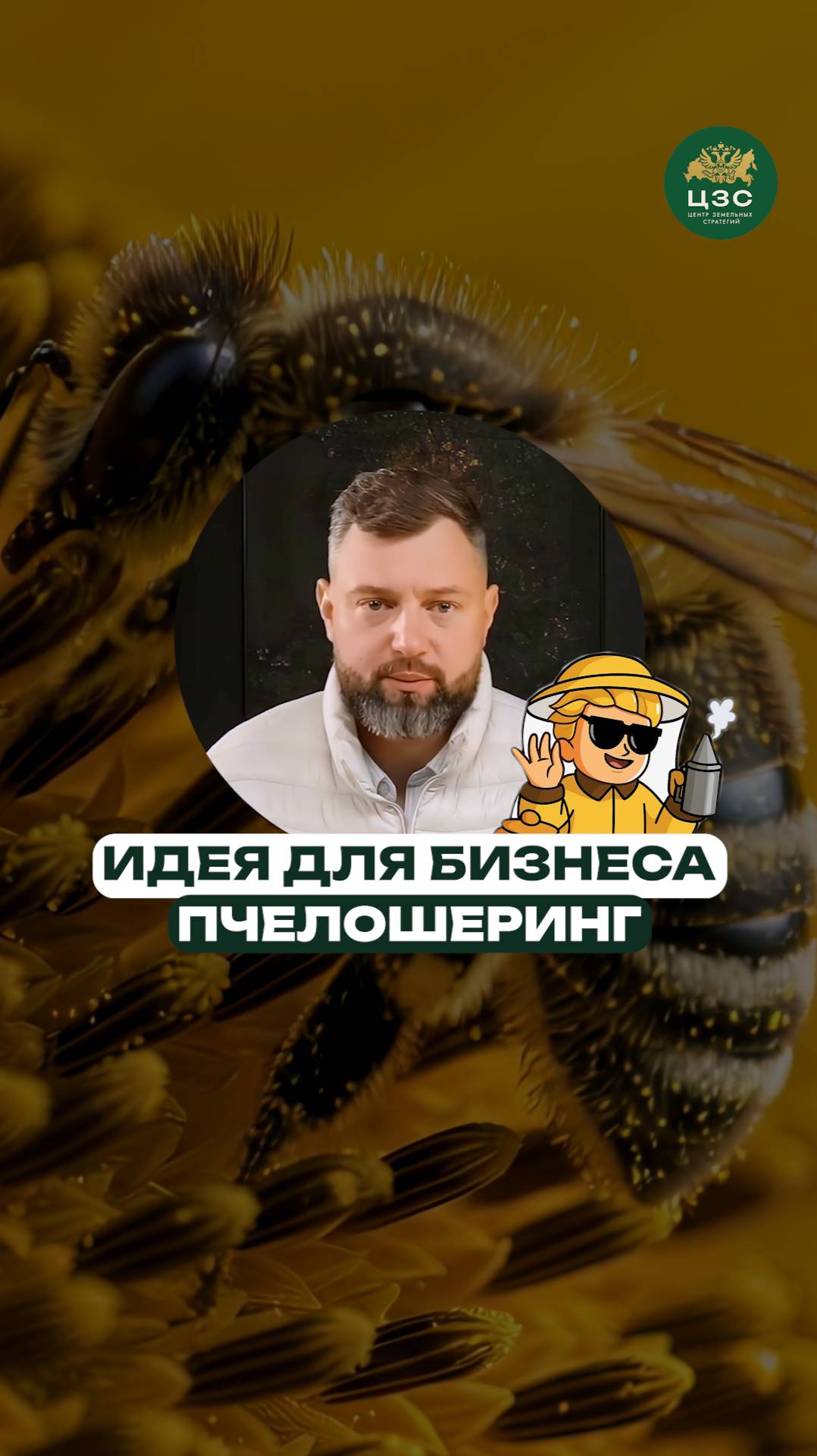 Секрет пасеки без забот — свежий мед у тебя дома!