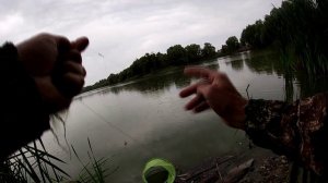 Карась на резинку! С капризами простого карася покончено! 2020 год