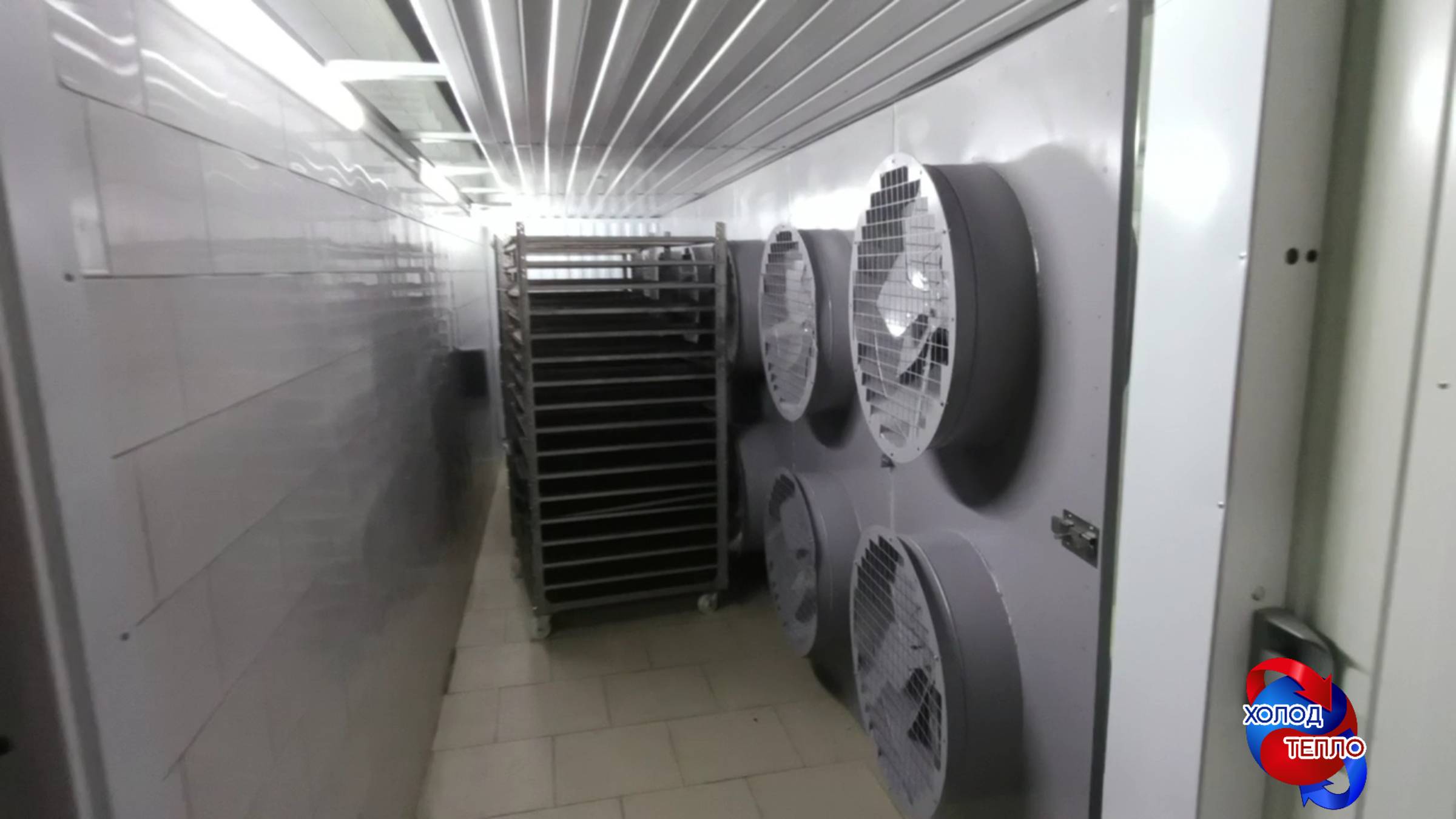 Роман Трухачев. Компания 