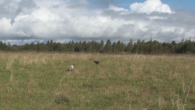 Эрик и Рита. Учеба проолжается. смотреть онлайн