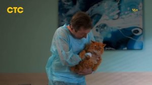 Котострофа (2023, сериал, 2 сезона) — ТВ-ролик (сезон 2) — Кинопоиск